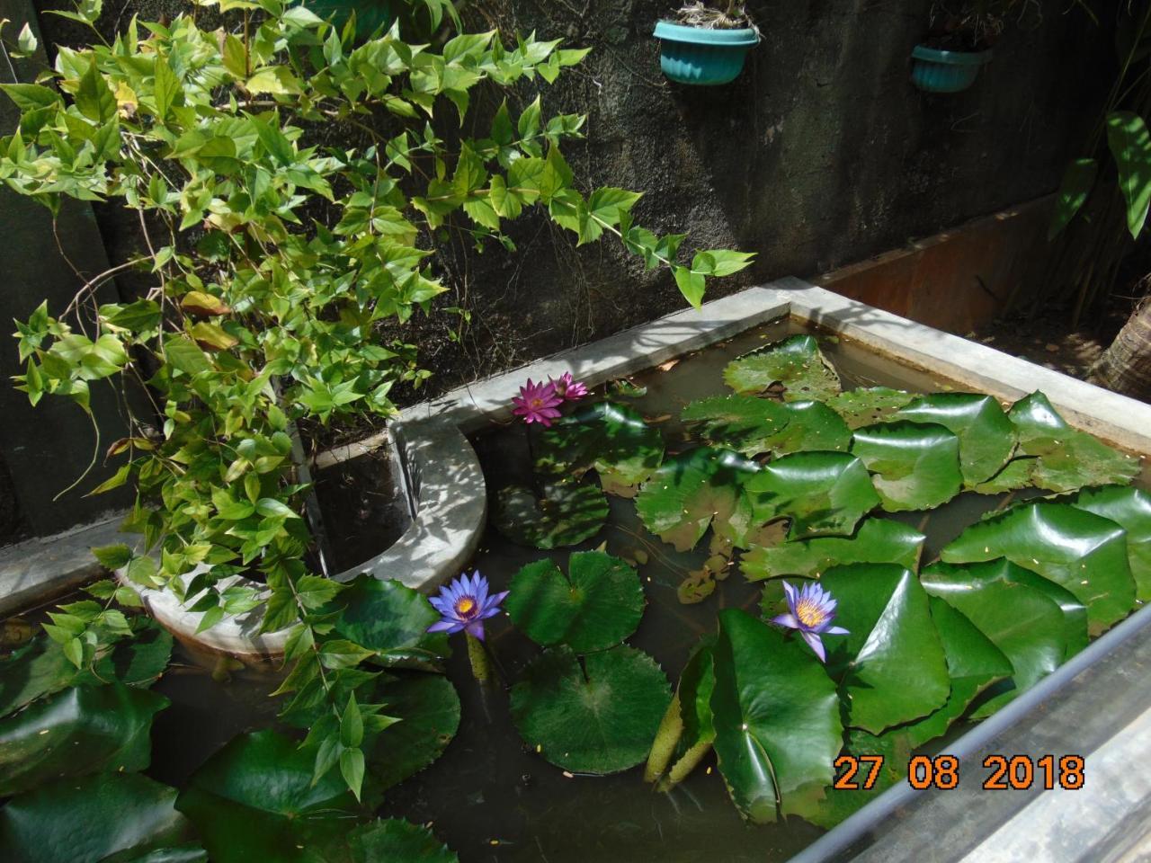 Sri Lankan Villa Elagawagoda Luaran gambar